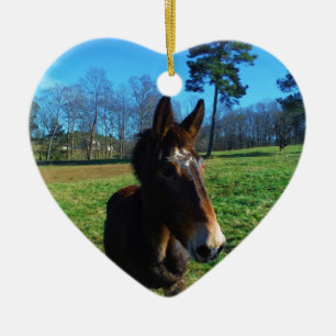 Ornamento De Cerâmica Maçã-branca