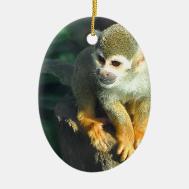 Ornamento De Cerâmica Macaco-Aranha (Frente)