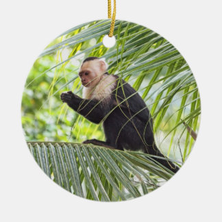 Ornamento De Cerâmica Macaco bonito em uma palmeira