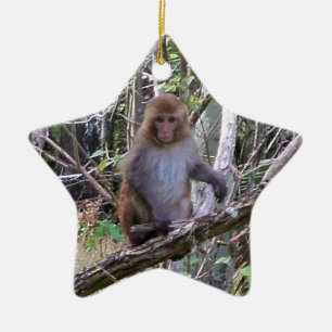Ornamento De Cerâmica macaco de macaque do rhesus 001a