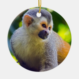 Ornamento De Cerâmica Macaco-esquilo num ramo - Costa Rica