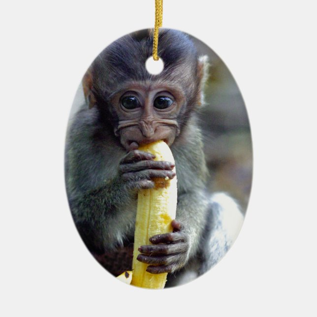 Ornamento De Cerâmica Macaco-macaco-bebê bonito comendo banana (Frente)