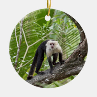 Ornamento De Cerâmica Macaco na selva