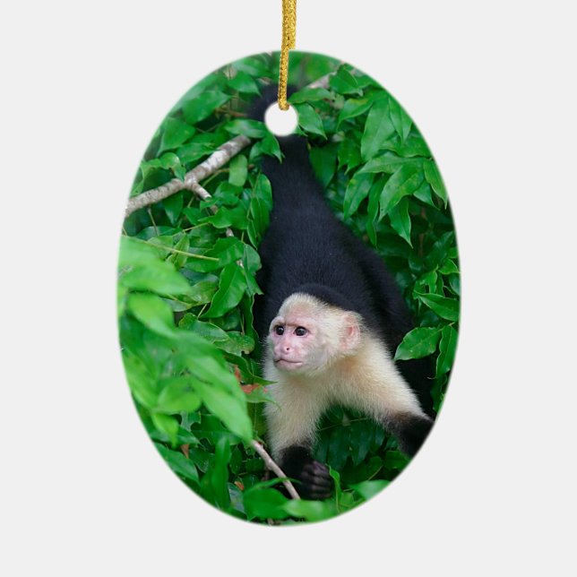 Ornamento De Cerâmica Macaco-prego-branco (Frente)