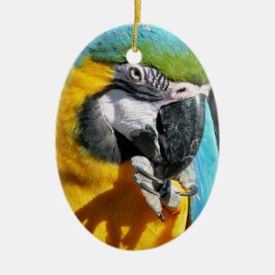 ORNAMENTO DE CERÂMICA MACAWS