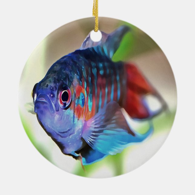 Ornamento De Cerâmica Macropodus Opercularis Peixes de Aquário (Traseira)