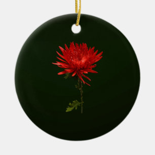 Ornamento De Cerâmica Mãe de aranha vermelha