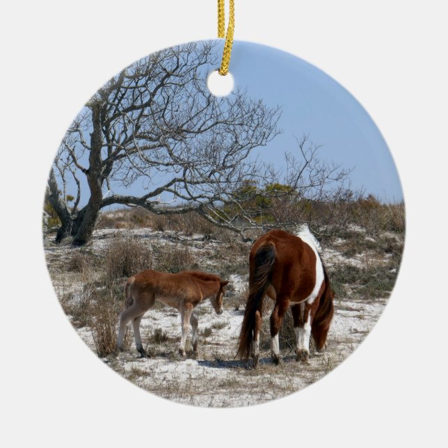 Ornamento De Cerâmica Mãe e Potro no Parque Nacional Assateague (Frente)
