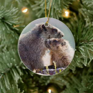 Ornamento De Cerâmica Mãe Marmota com Bebê