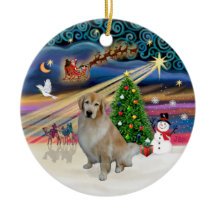 Magia de Natal - Golden Retriever Claro 10