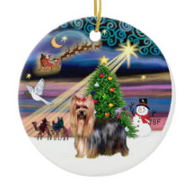 Magia de Natal - Yorkie 9
