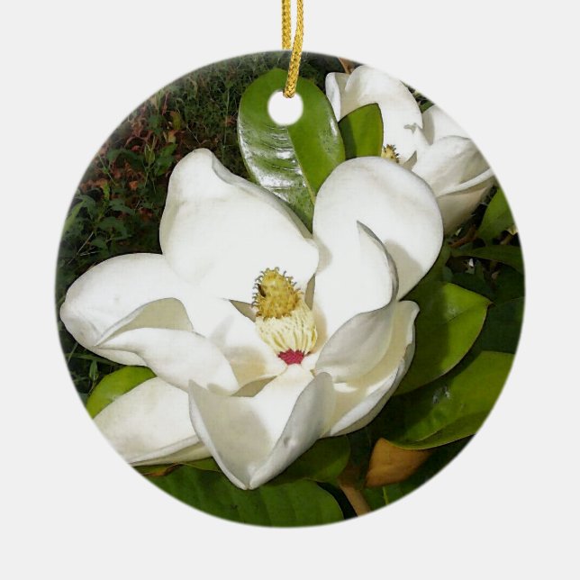Ornamento De Cerâmica Magnolia Blossom (Frente)