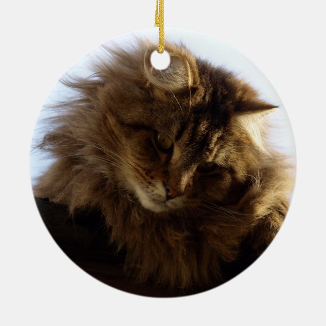 Ornamento De Cerâmica Maine Coon Cat (Traseira)