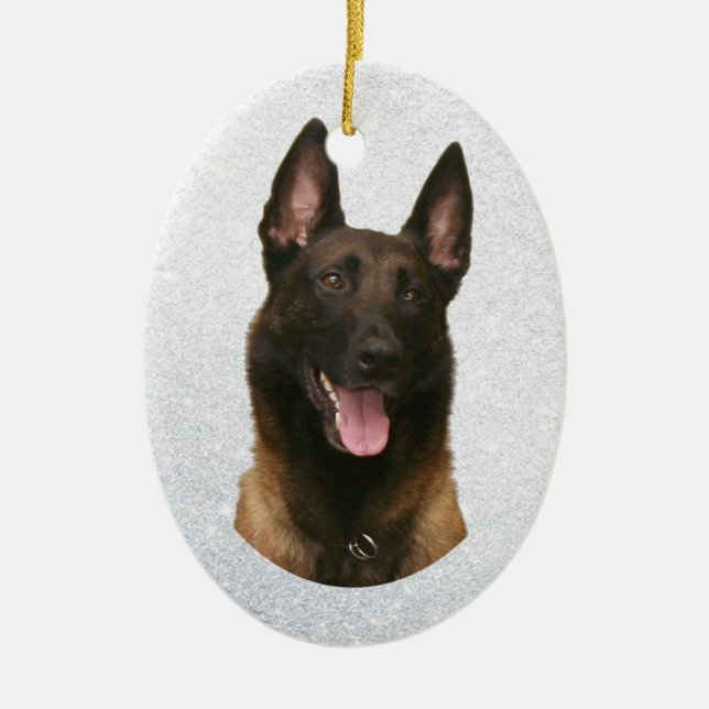 Ornamento De Cerâmica malinois belgas (Frente)