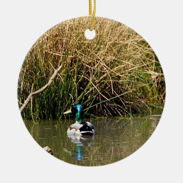 Ornamento De Cerâmica Mallard Drake Ornament (Frente)