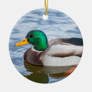 Ornamento De Cerâmica Mallard Duck