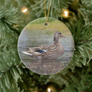 Ornamento De Cerâmica Mallard Duck em Puddle