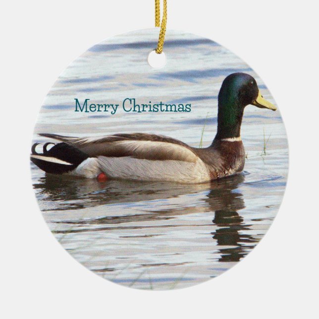Ornamento De Cerâmica Mallard Duck Ornament (Frente)