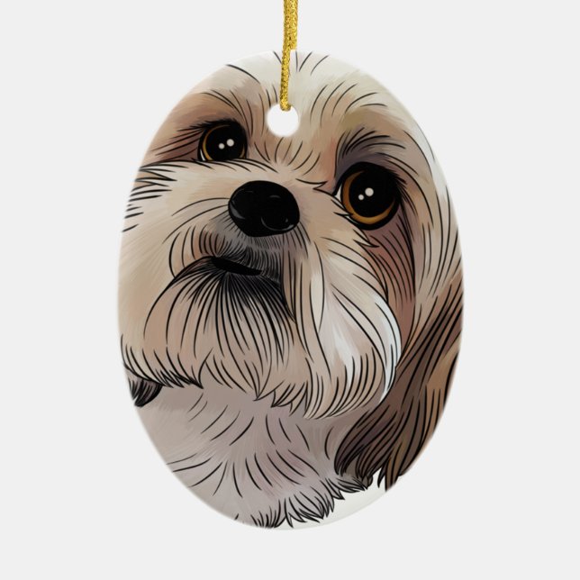 Ornamento De Cerâmica Malshi Mal-shi (Frente)