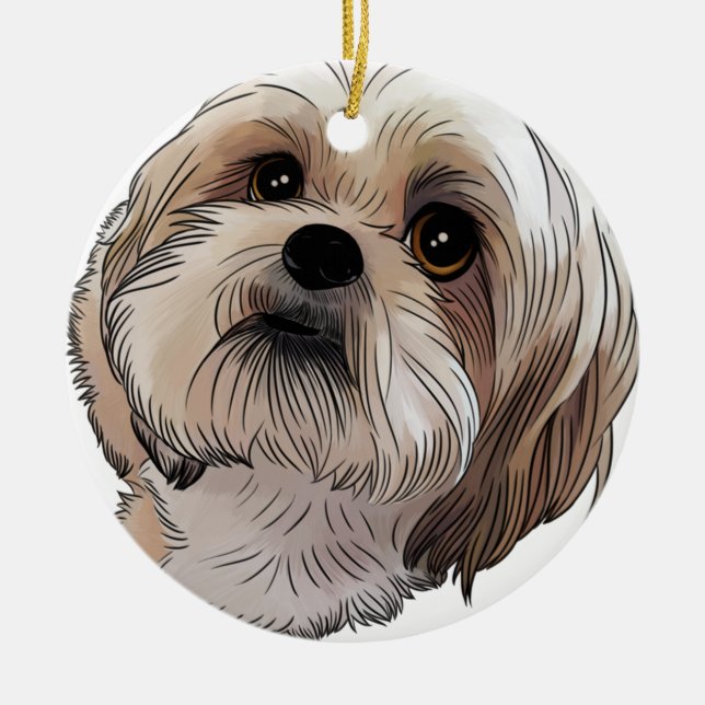 Ornamento De Cerâmica Malshi Mal-shi (Frente)