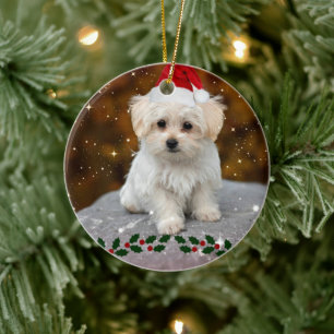 Ornamento De Cerâmica Maltês Cuppy celebra o Natal