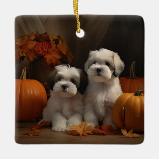 Ornamento De Cerâmica Malti tzu Puppy Autumn Delight Pumpkin (Frente)