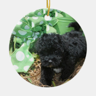 Ornamento De Cerâmica Maltipoo Negro