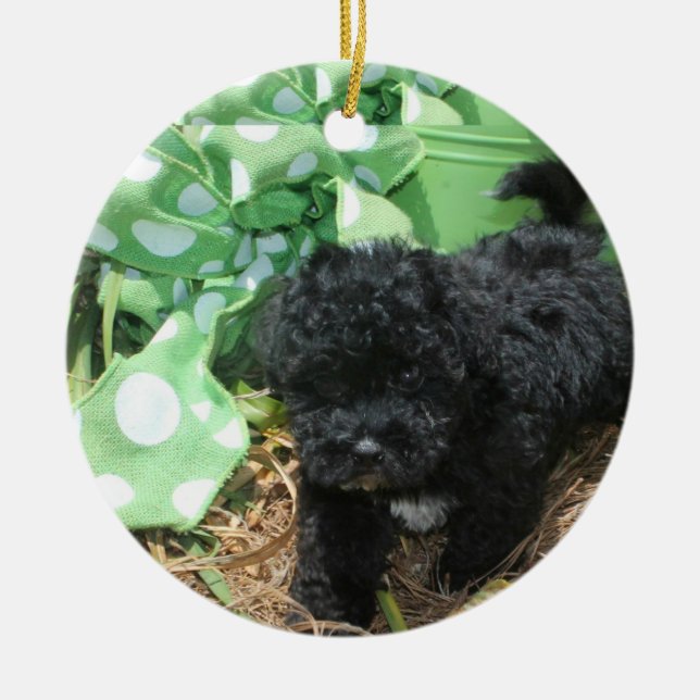 Ornamento De Cerâmica Maltipoo Negro (Frente)