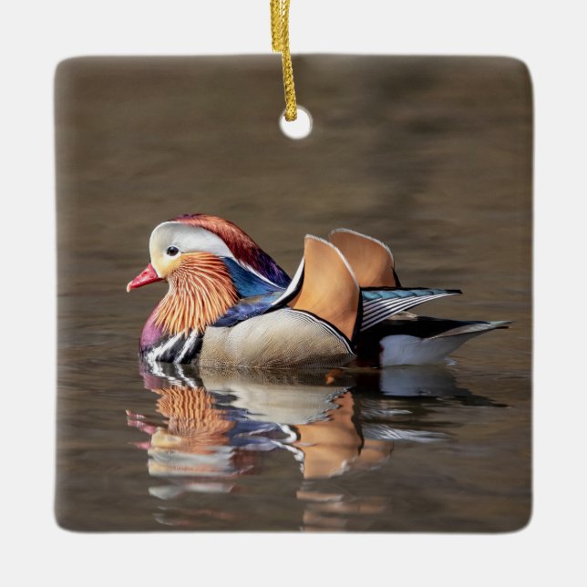 Ornamento De Cerâmica Mandarin Duck (Frente)