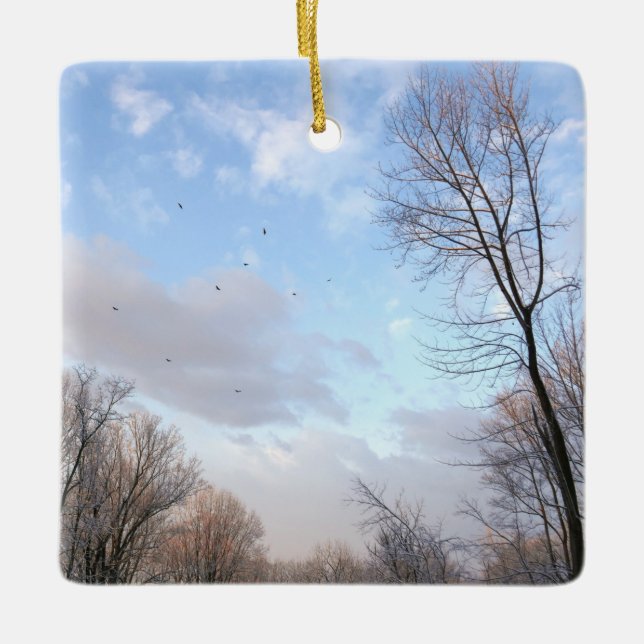 Ornamento De Cerâmica Manhã de inverno I (Frente)