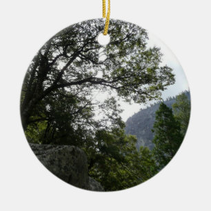 Ornamento De Cerâmica Manhã na trilha para as quedas vernais em Yosemit