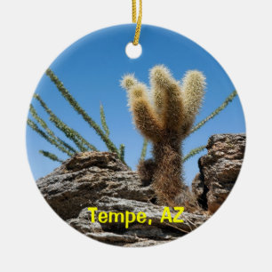Ornamento De Cerâmica Manutenção de Arizona temporária