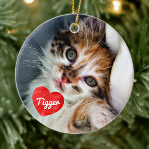 Ornamento De Cerâmica Manutenção Personalizada de Fotos de Gato de Pet