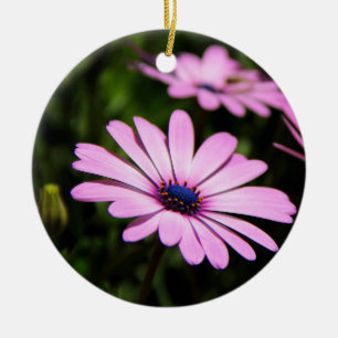 Ornamento De Cerâmica margarida africana