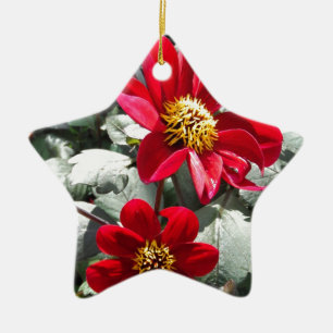 Ornamento De Cerâmica margarida rosa-vermelha / flores das margaridas