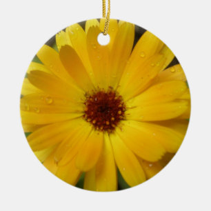 Ornamento De Cerâmica Marigold Macro Personalizado Aniversário Amarelo