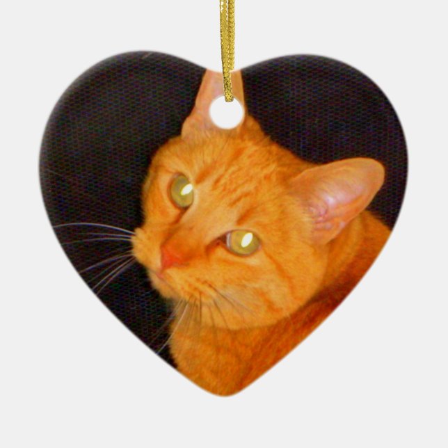 Ornamento De Cerâmica Marmelada (Frente)