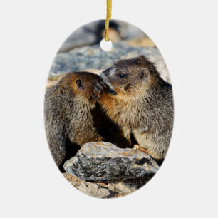 Ornamento De Cerâmica Marmota do bebê