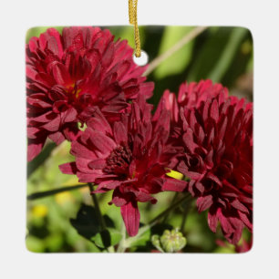 Ornamento De Cerâmica Maroon Chrysanthemums