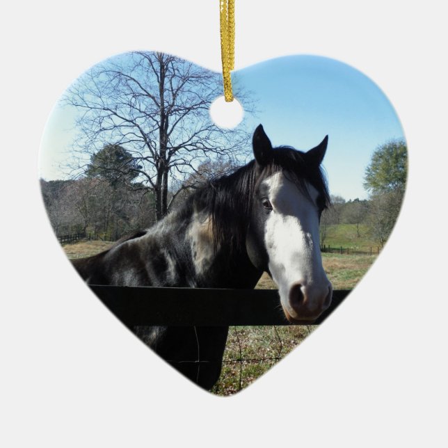 Ornamento De Cerâmica Marrom &Branco, Cavalo Pintado, céu azul brilhante (Frente)