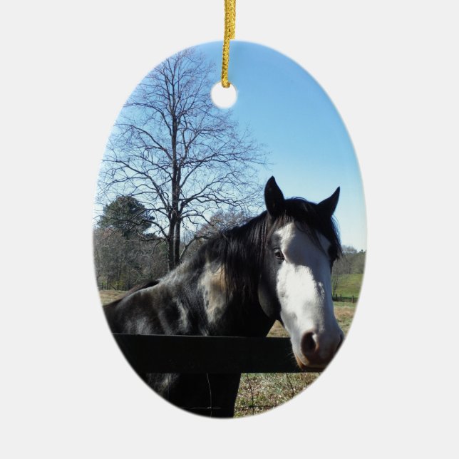 Ornamento De Cerâmica Marrom &Branco, Cavalo Pintado, céu azul brilhante (Frente)