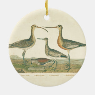 Ornamento De Cerâmica Marsh Bird Curlew Snipe Birding