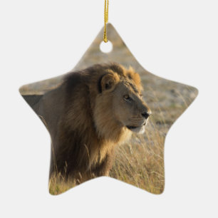 ORNAMENTO DE CERÂMICA MASCULINO LION 14 BOTSUANA