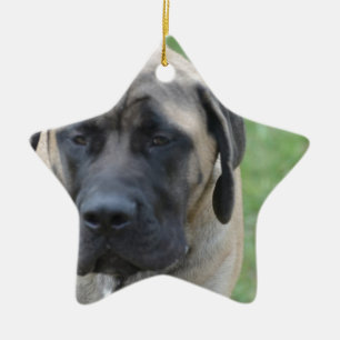 Ornamento De Cerâmica Mastiff inglês bonito