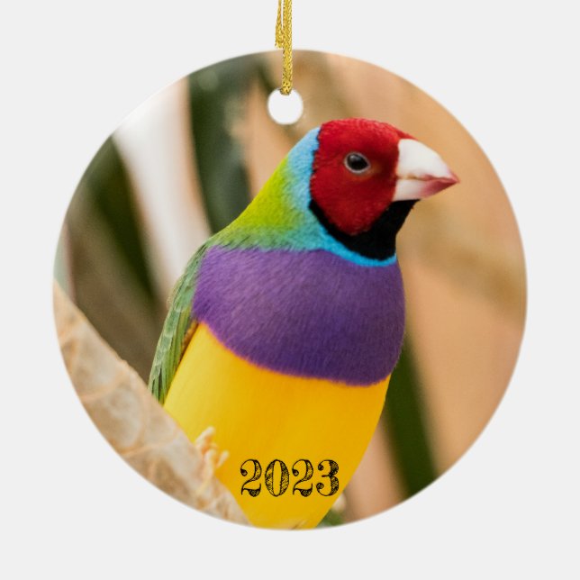 Ornamento De Cerâmica Matilha Gouldian (Traseira)