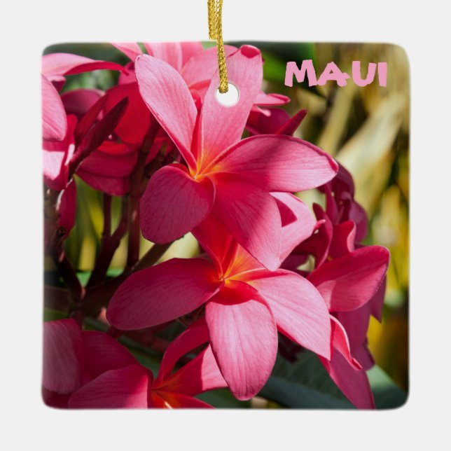Ornamento De Cerâmica Maui, Flores de Plumeria em Rosa e Branco (Frente)