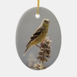 Ornamento De Cerâmica Meadow Goldfinch