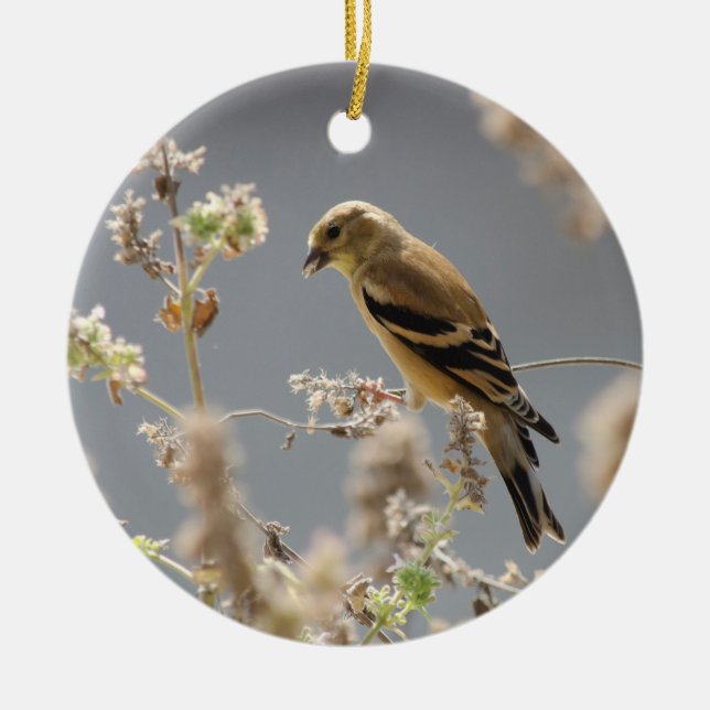 Ornamento De Cerâmica Meadow Mint Goldfinch (Frente)