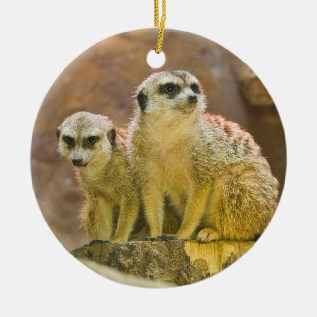 Ornamento De Cerâmica meerkat (Frente)