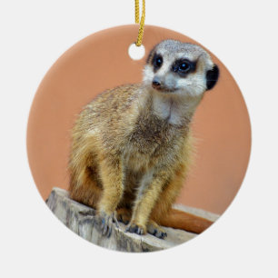 Ornamento De Cerâmica Meerkat bonito